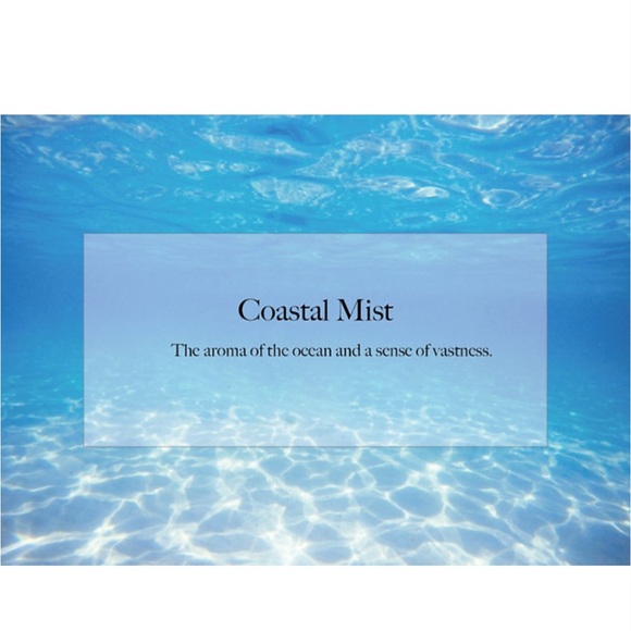 About Car Air Freshener | 12 Count (Pack of 1) | Coastal Mist - Picture 3 of 6